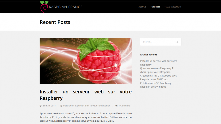 Старый дизайн raspbian france