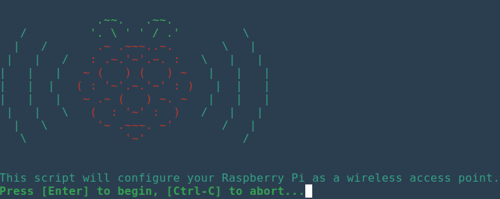 El arte ascii se muestra al iniciar el script de instalación de hostapd