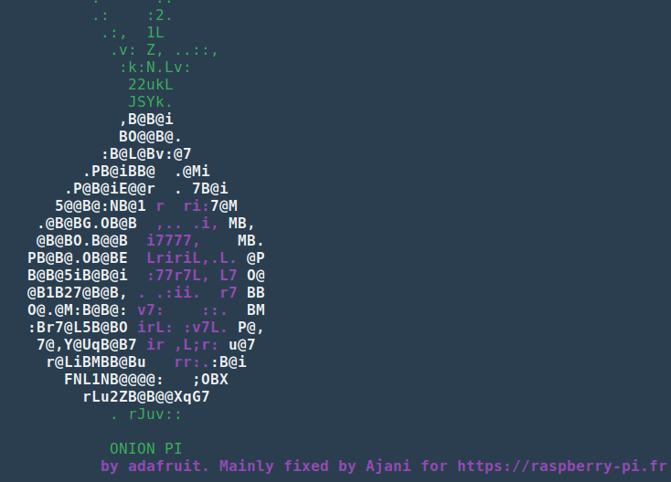 Tor 설치 스크립트를 시작할 때 표시되는 Ascii 아트