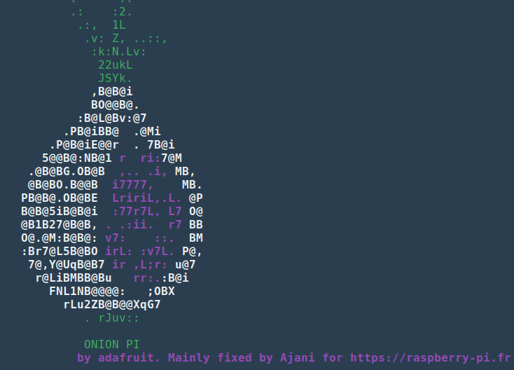 Ascii art visualizzato all'avvio dello script di installazione di tor